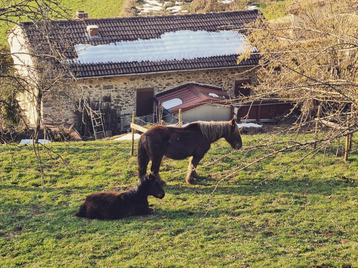 Rural El Sestil Dobres